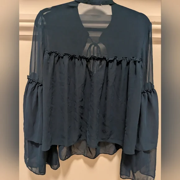 Sheer Blouse - Picture 4 of 4